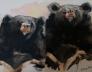 Expositie frans Verpalen